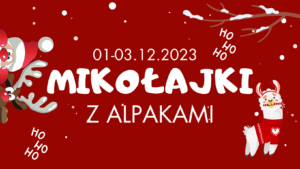 Read more about the article Mikołajki z alpakami 2023