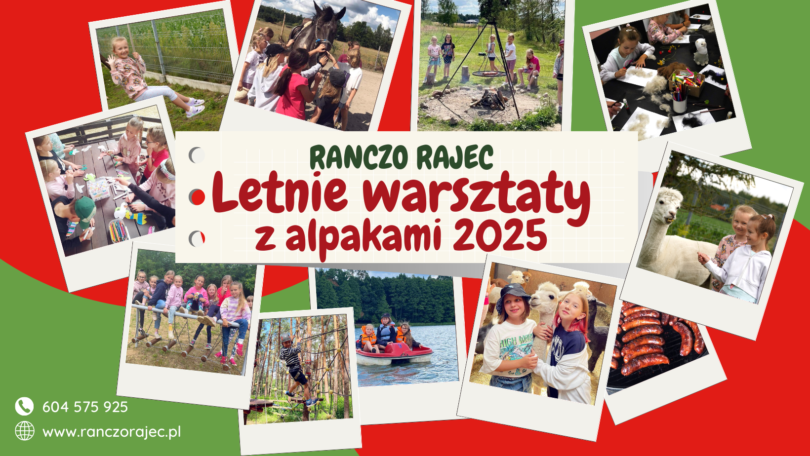 Read more about the article Letnie warsztaty z alpakami 2025